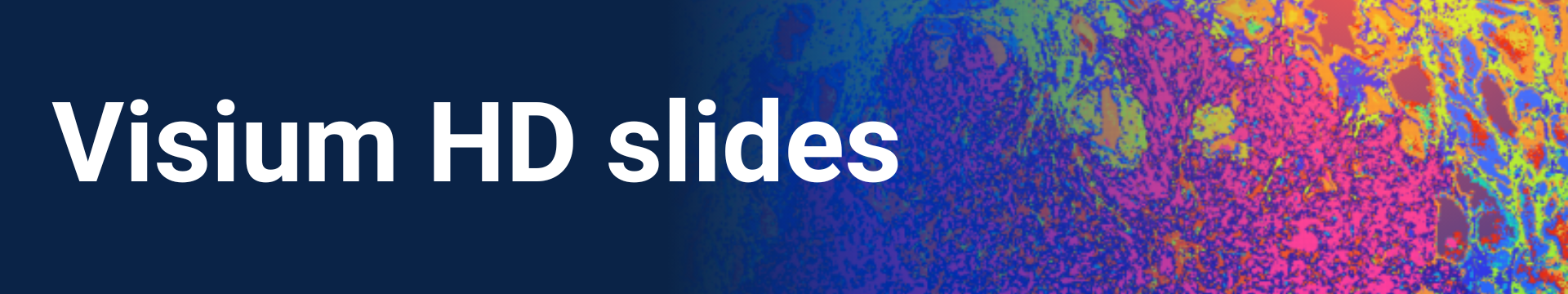 Visium HD slides 1920x320px
