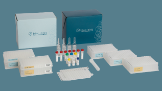 Trial biocrate’s metabolic profiling starter packages and save.