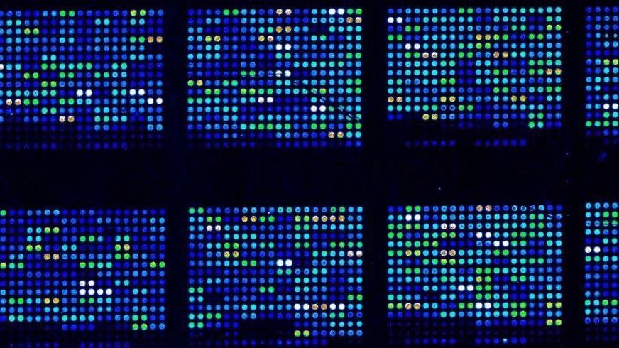 Antibody Arrays Explained: A Guide to Multiplex Protein Profiling