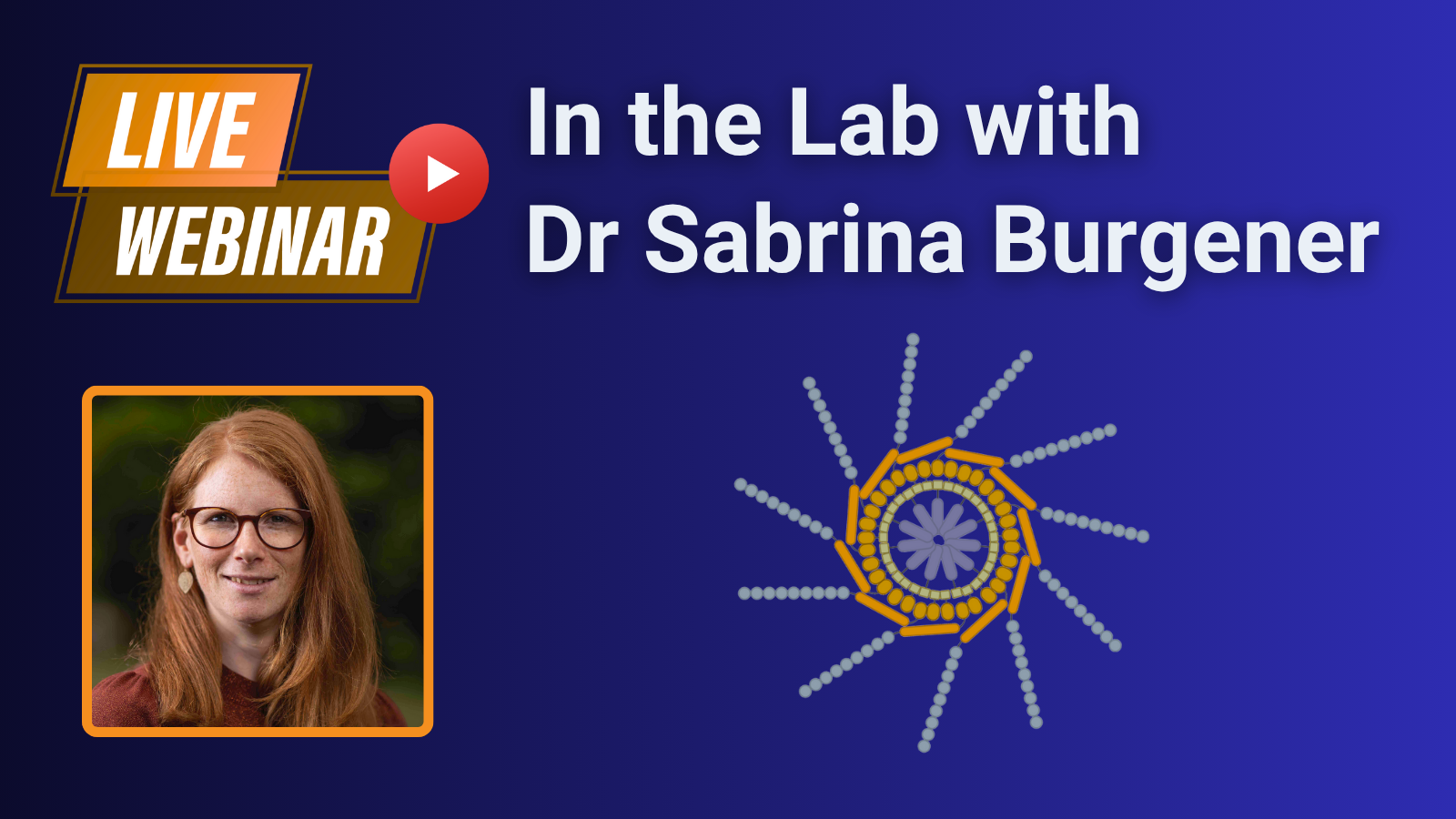 In the Lab with Dr Sabrina Sofia Burgener