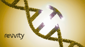 Free DharmaFECT™ Reagent with ON-TARGETplus™ or siGENOME™ SMARTpool siRNAs